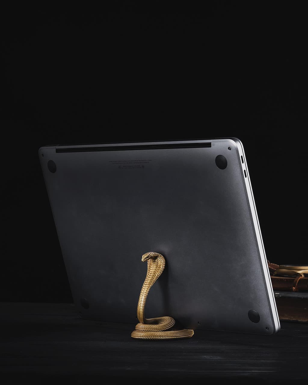 Novelty Phone Stand